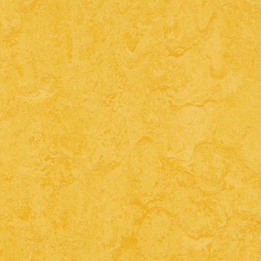 forbo Linoleum Marmoleum Click lemon 2