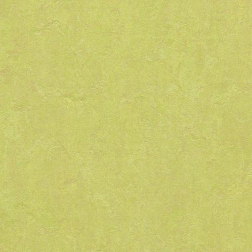 forbo Linoleum Marmoleum Click spring 2