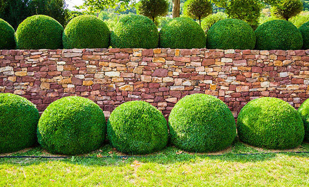 Esthétiques murs de jardin