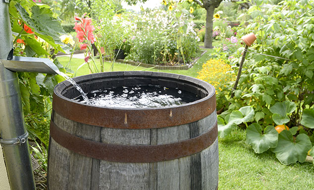 Cuve récupération d'eau de pluie tonneau Vino - Garantia