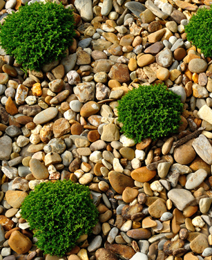 Complétez le parterre de jardin