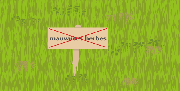 Prévention naturelle contre les mauvaises herbes