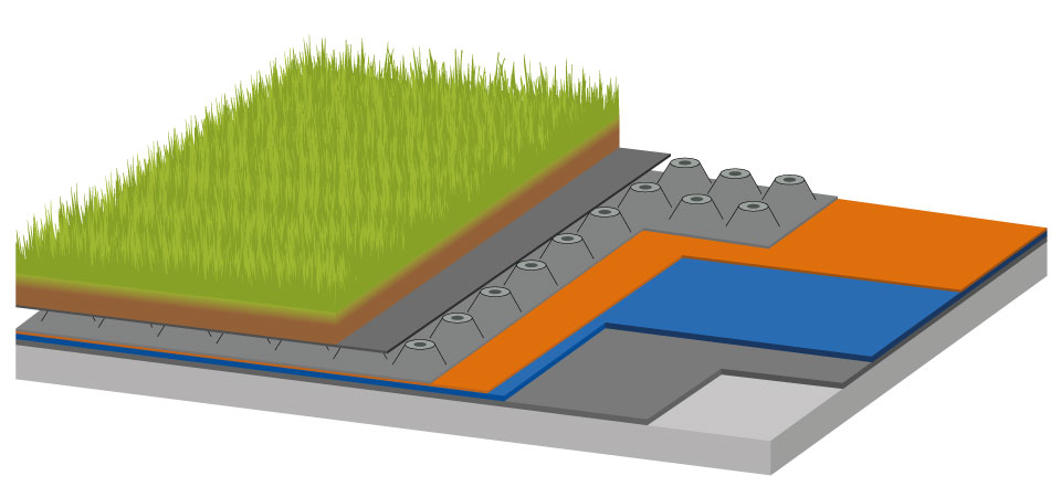 Dachbegrünung im Detail